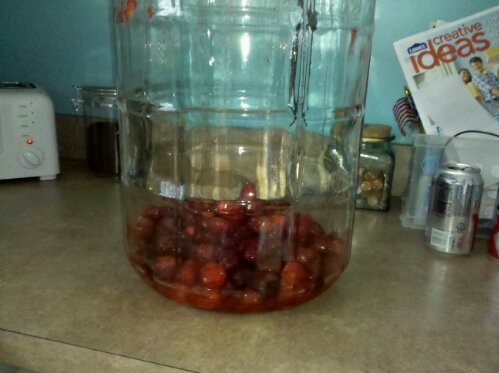 Strawberries!